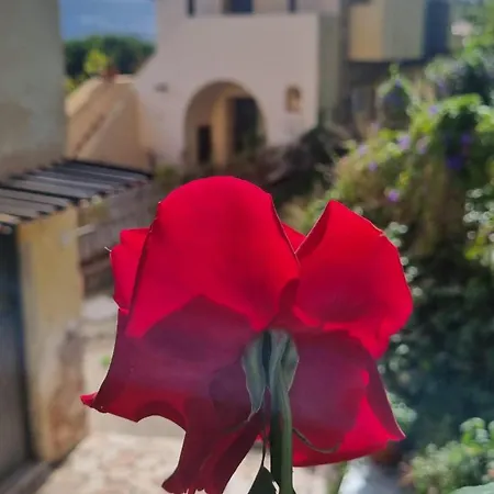 Casale Di Sicilia *